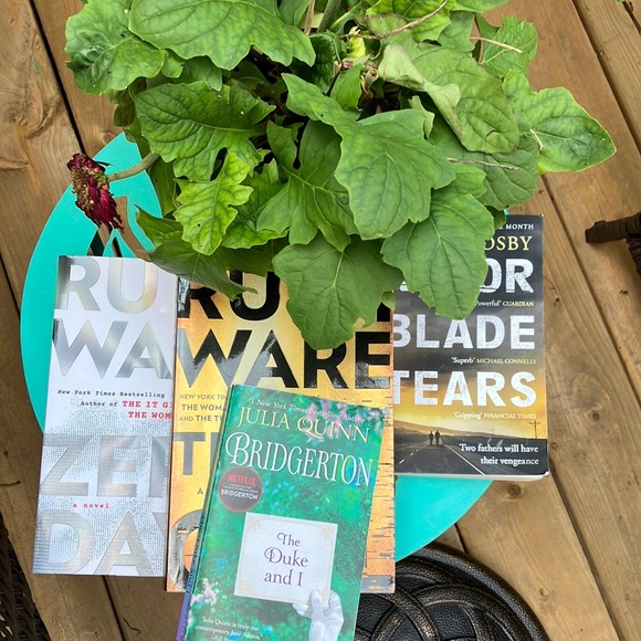 Reading Bundle! 📚 - Picture 1 of 5